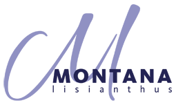 logo-Montana